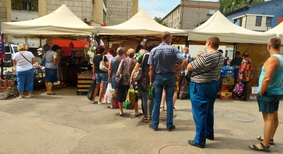 Жители Липецка закупились сезонными овощами и фруктами на торговых площадках Липецка