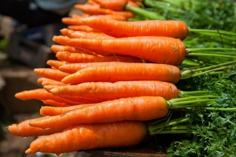 Как менялась минимальная розничная цена на морковь столовую в Липецкой области в июне-июле