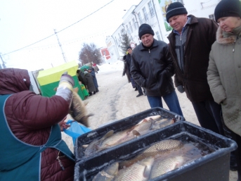  В Задонске пройдет областная тематическая рыбная ярмарка «По щучьему велению»