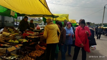 В городе Лебедянь состоялись  областная ярмарка и тематическая ярмарка саженцев, товаров для сада и огорода