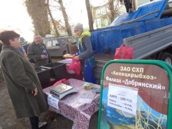 Областная ярмарка приехала к жителям села Нижняя Матренка Добринского района